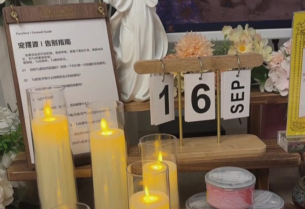 宠摆渡鄂尔多斯独立告别仪式厅实景